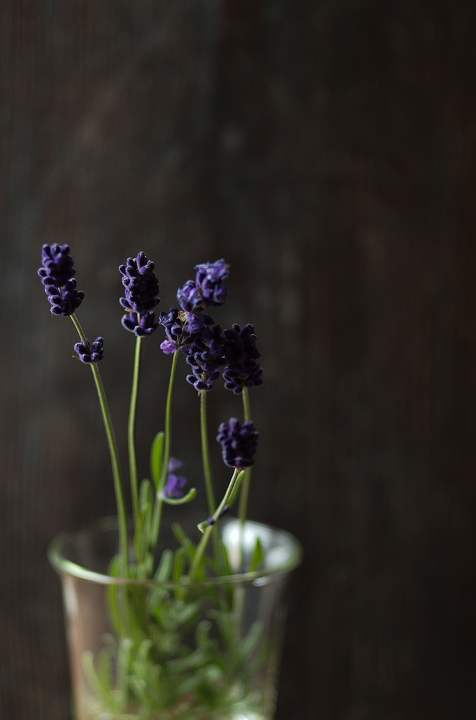 ラベンダーの花